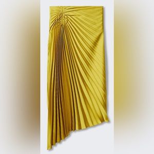 Pleated asymmetric skirt